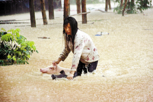 惠州遭大暴雨袭击