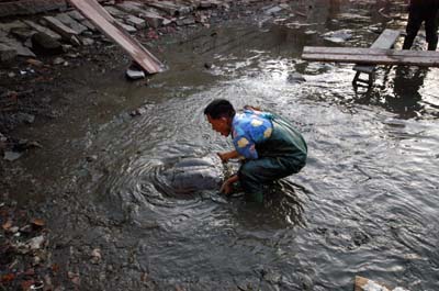 庄阿姨经常来放生池看望大鳖