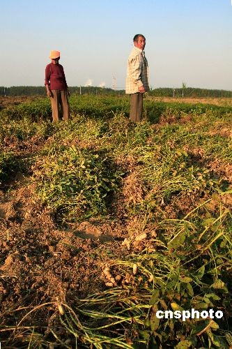 图片:允许农民多种形式流转土地承包权 - 炫特