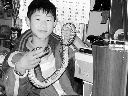 13岁少年与蛇共舞
