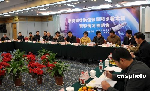 河南原阳太空营养米亩产已达七百斤