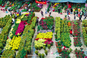 采购年货爆棚 农批周边塞车