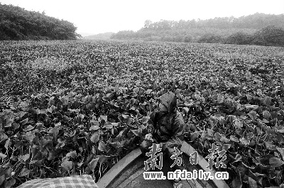 同沙水库日吞400吨垃圾场污水