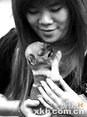 广州养犬管理条例规定每户限养一只狗(组图)