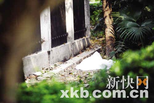 东风西惊现一女吊死树上