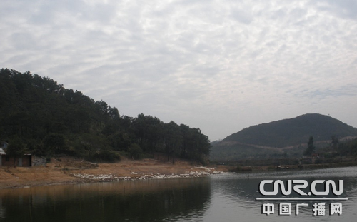 广东:东莞计划从惠州潼湖水库买水