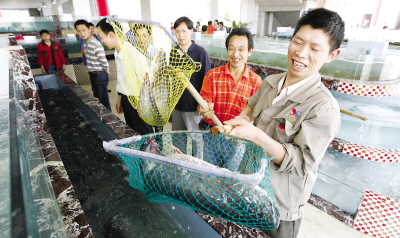 重庆首条海鲜街营业