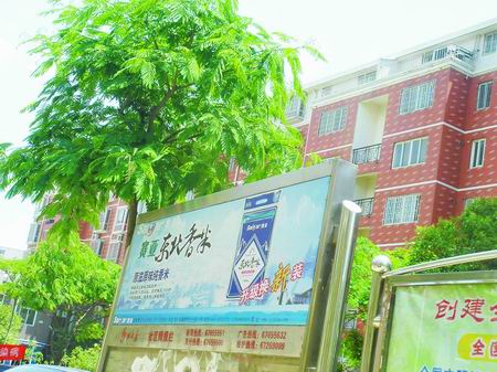 广告联盟收入截图_收入支出表格模板_小区广告收入