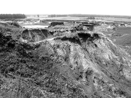 ۰�����£���������µ����ºۼ�