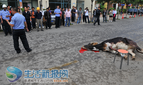 月牙潭公园枪毙惊牛