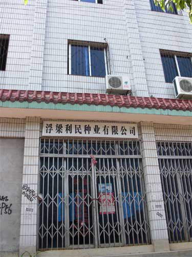 江西浮梁问题种子致万亩早稻近乎绝收(组图)
