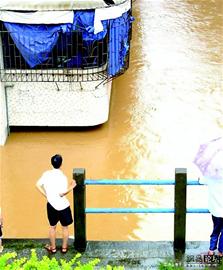 眼看发大水一群人还在那打麻将!
