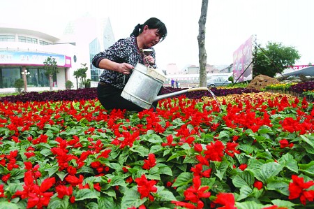花农备货迎双节