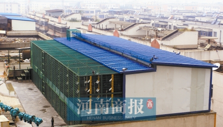 几十只鸽子头顶飞来飞去，居民很闹心