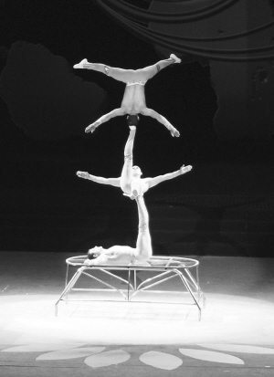 驯虎抢得重头戏澳洲妹子亮绝活