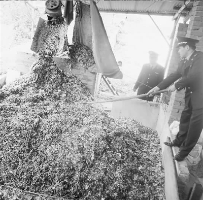 塑料加工污染府河