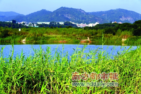 西丽人口数_西丽生态公园
