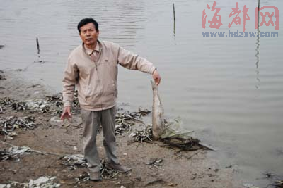 洛阳江畔水质差 鱼塘浮现大量死鱼