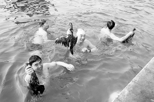 冬泳迎新年水中比赛抓鸭子
