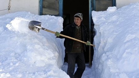 新疆雪灾