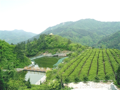 农村环保促进武汉远城区科学发展