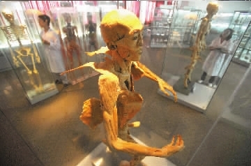 �人��У����ݱ���̽��