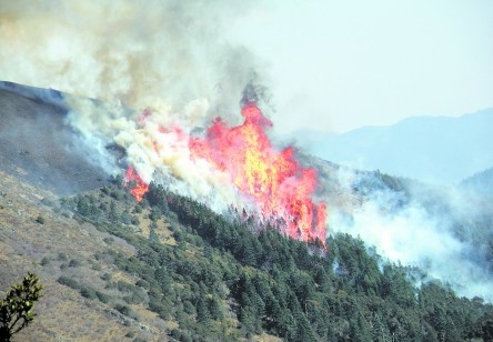 四川凉山州原始森林火灾经8天终被扑灭(组图)