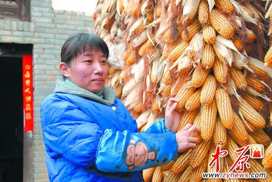 农家少女网络征婚 开价10万另有隐情(图)