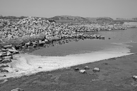 黑水过后河面漂死鱼 养殖户怀疑河水污染,但