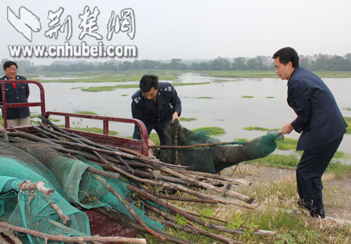 孝昌打击非法捕捞 拆除河道中的迷魂阵(图)