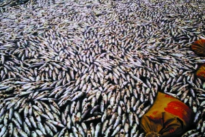 紫金废水泄漏迟报9日被质疑