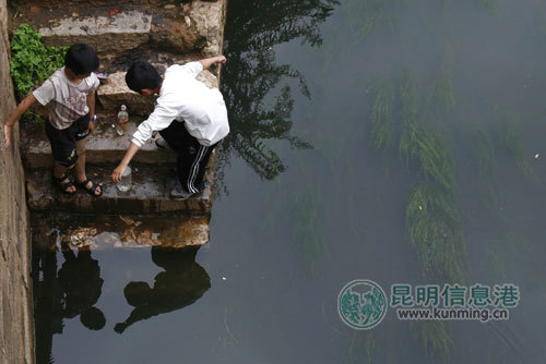 盘龙江边赏泥鳅小伙子不慎跌入江中