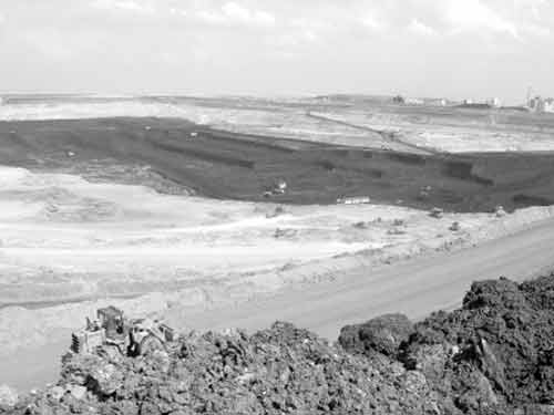 呼伦贝尔近半可用草原退化矿业开采被指主因