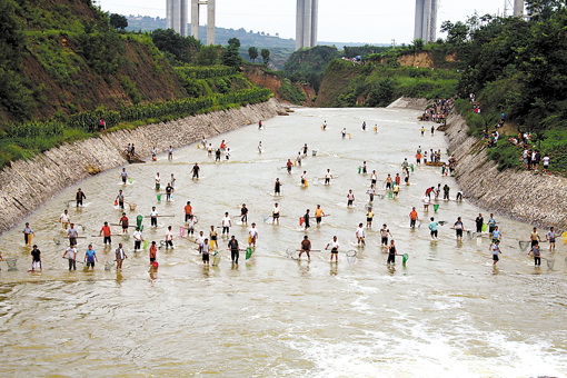 水库泄洪区上百人冒险捞鱼