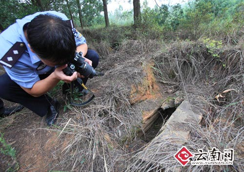 昆明飞虎队公墓近期未被破坏拟恢复成园林墓园