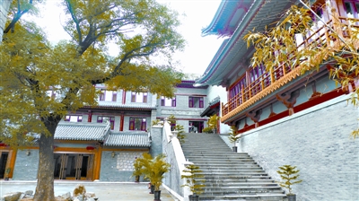 柳智宇目前是龙泉寺净人