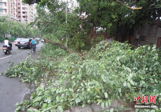 台风"莫兰蒂"引发强降雨福建泉州莆田等局部洪涝