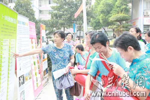 武汉洪山区单亲母亲十年自办环保展（图）