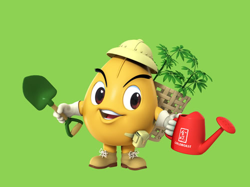 金味杯绿色环保我先行征文大赛开幕