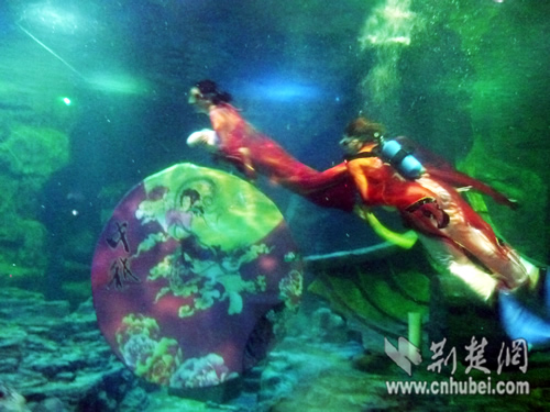 武汉东湖海洋世界“嫦娥戏月”演绎浪漫传说