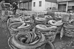 最近买鮸鱼挑个头大的合算