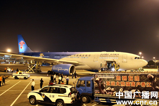 �Ϻ������˺š�ר������6ֻ��������è������