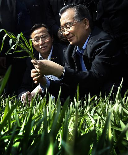 温家宝总理在河南省同玉米育种专家程相文交流