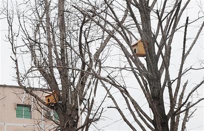 ����С��רΪ����������ǰ���׽��