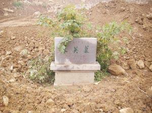 南京别墅小区侵占黔国公古墓群 云南的沐英后