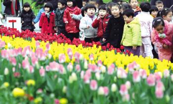 马鞍池公园举办郁金香花展迎来大批游人观赏