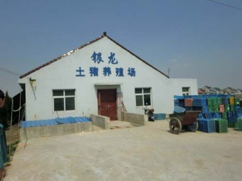 �����߲�����Ķ����ֵ����ԪĶ�ز����ʾ�ȫ����λ