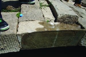 Ǭ¡������53��������Ŀ��