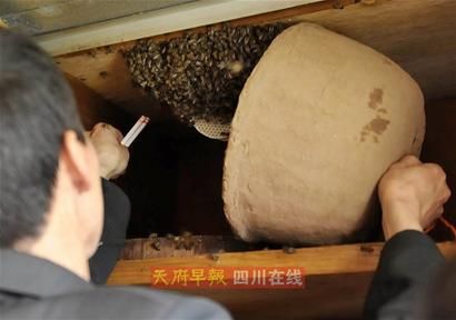 �������С�۷䱻�����塰�ա�����