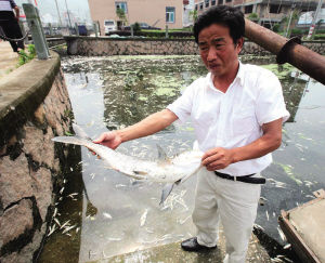渔场遭下毒致万斤养殖鱼死 受污染河3年不能养